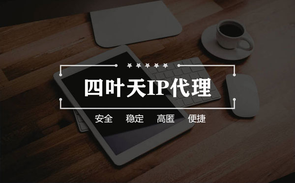 【灵宝代理IP】如何快速搭建代理IP？怎么检查代理的效果？